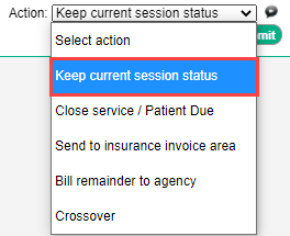TB_Payment_New_Payment_Adj_Action_dropdown_Keep_Current_Session_status.png
