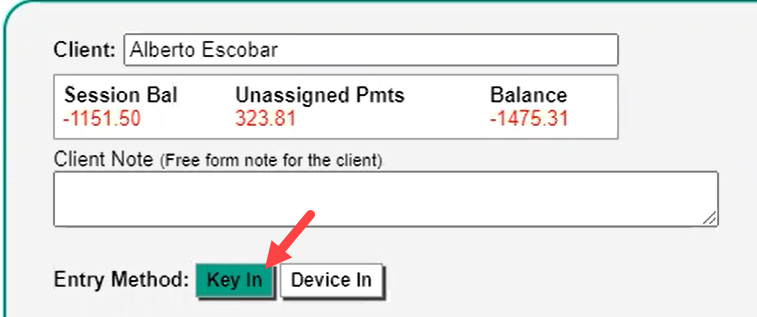 Therabill_WorldpayCCProcessing_KeyInMethod.png