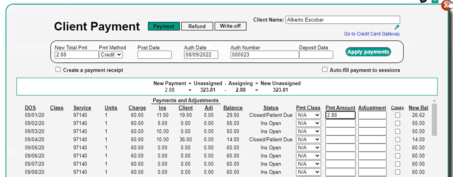 Therabill_WorldpayCCProcessing_ClientPaymentPage.png